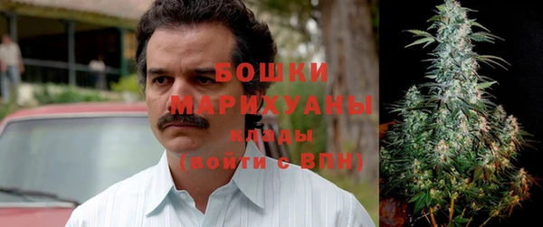 дмт Каменногорск