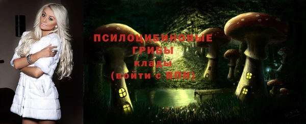 а пвп мука Каменка