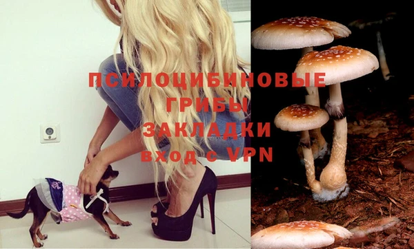 а пвп мука Каменка