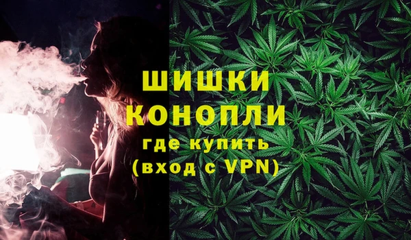 дмт Каменногорск